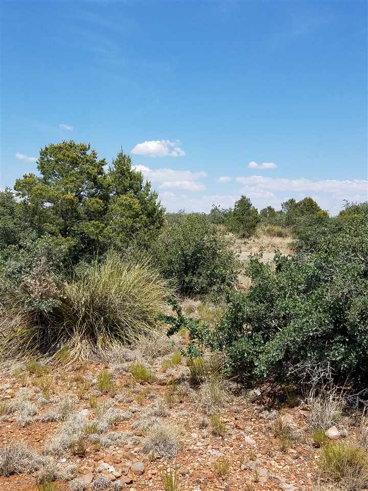 XX Mesita Circle, Silver City, NM 88061