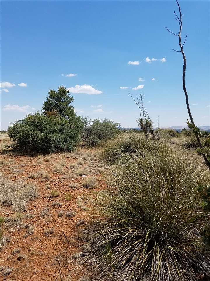 XX Mesita Circle, Silver City, NM 88061
