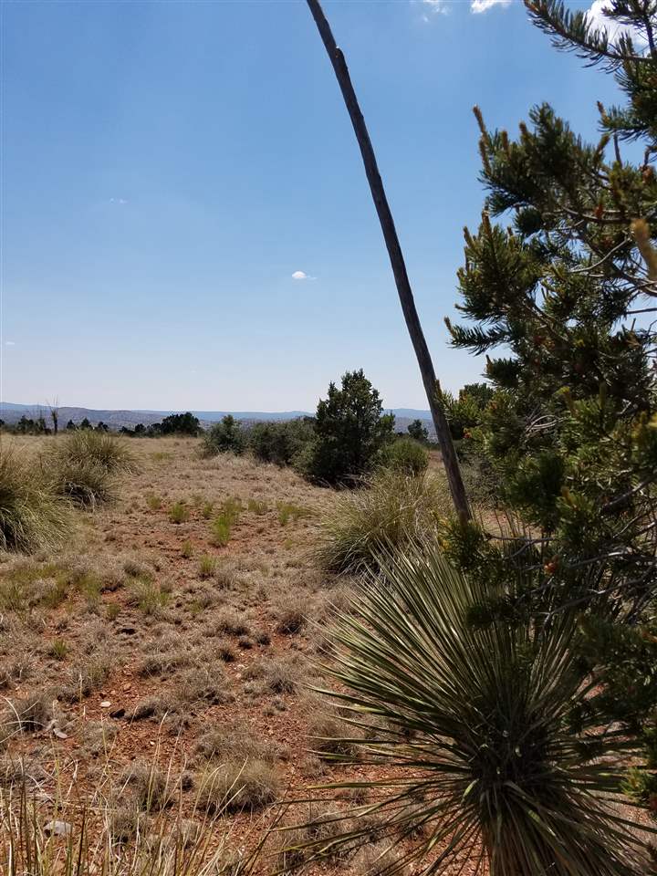 XX Mesita Circle, Silver City, NM 88061