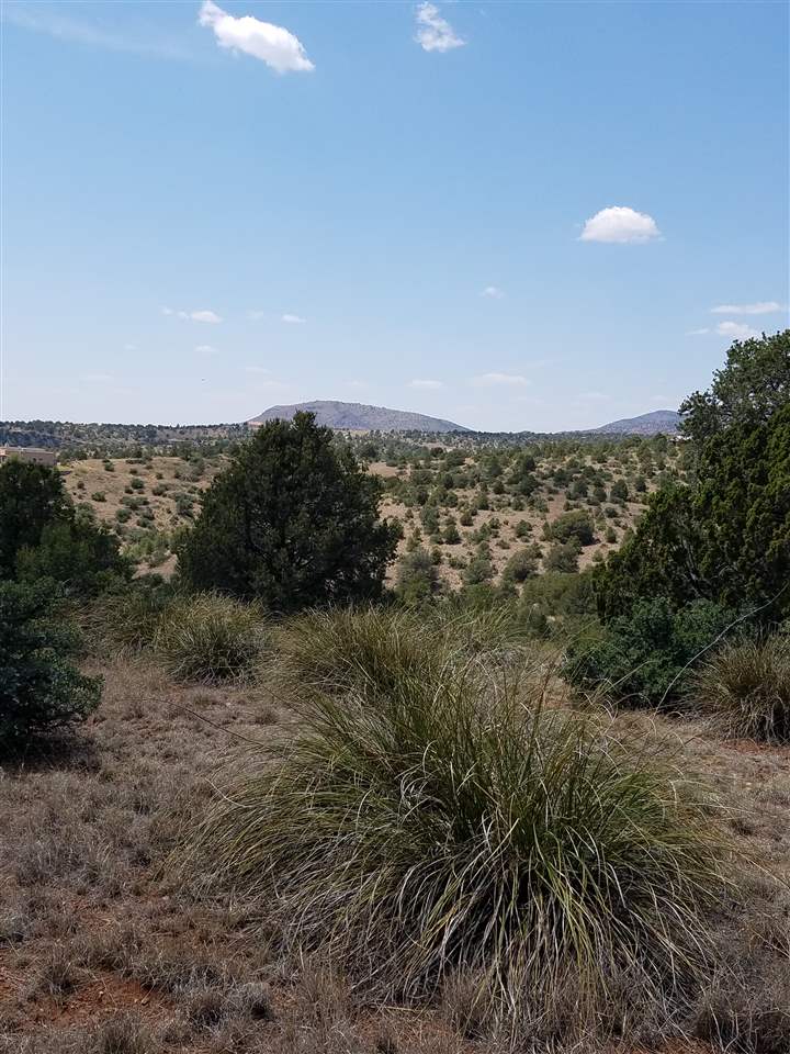 XX Mesita Circle, Silver City, NM 88061
