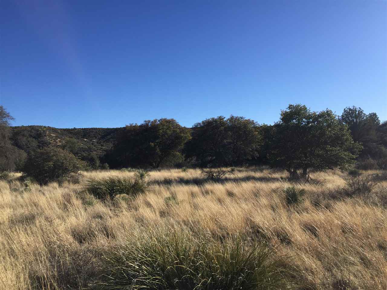 99 BURRO SPRINGS, Silver City, NM 88061