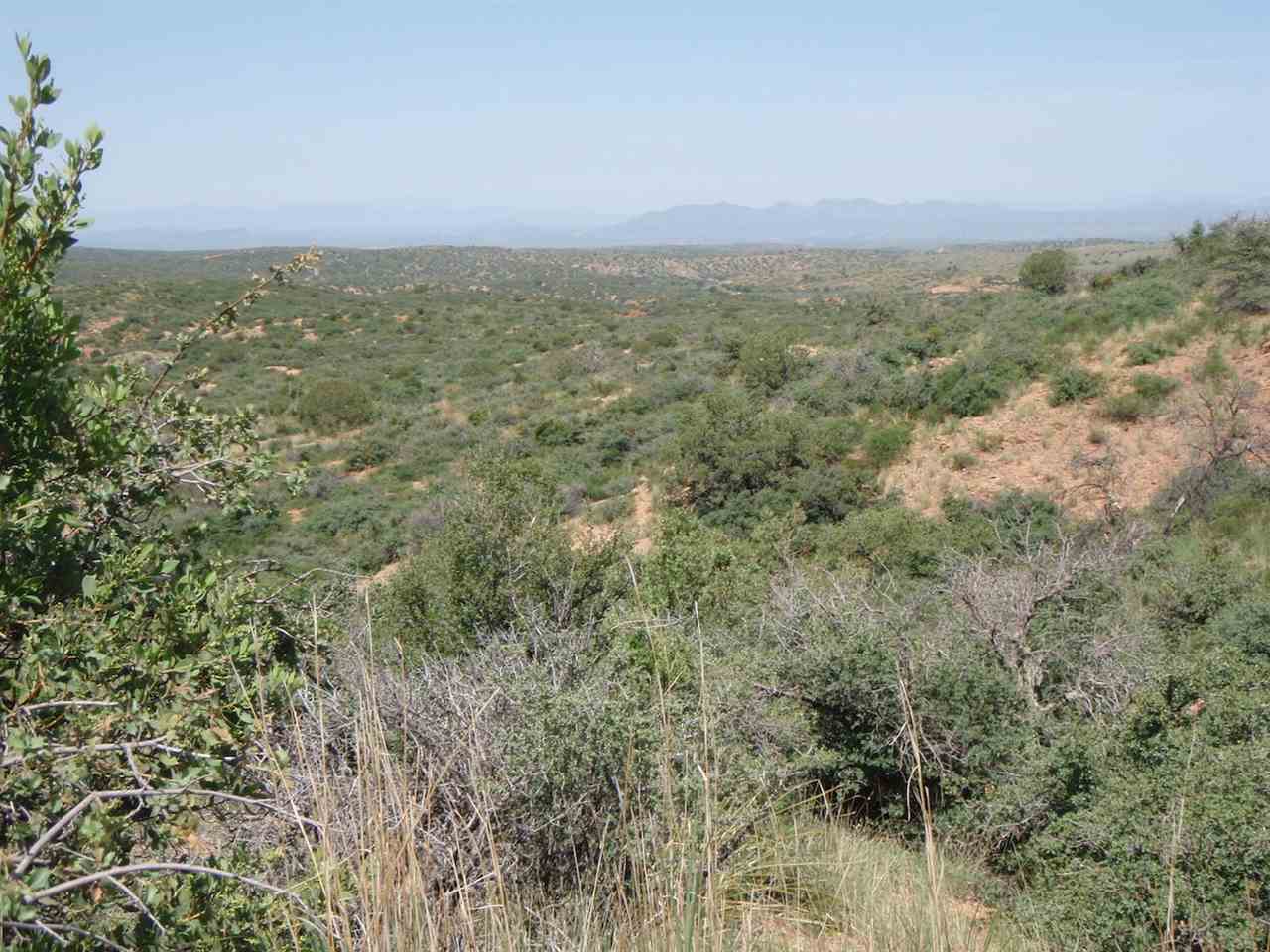 99 BURRO SPRINGS, Silver City, NM 88061