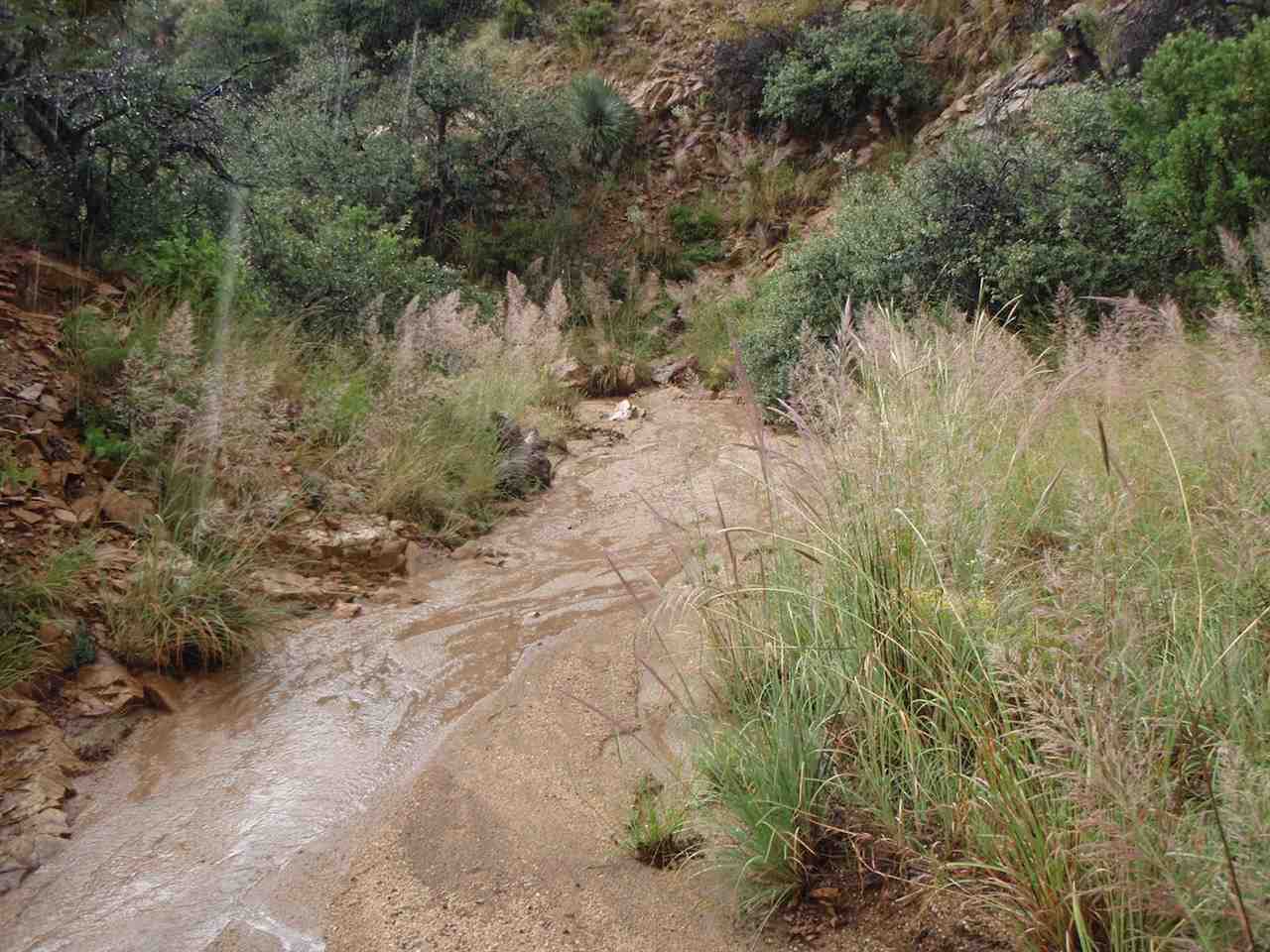 99 BURRO SPRINGS, Silver City, NM 88061