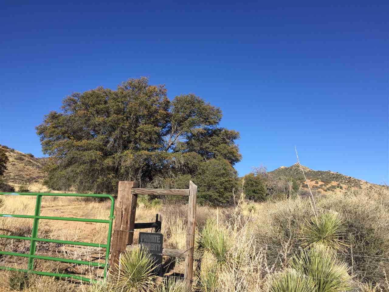 99 BURRO SPRINGS, Silver City, NM 88061