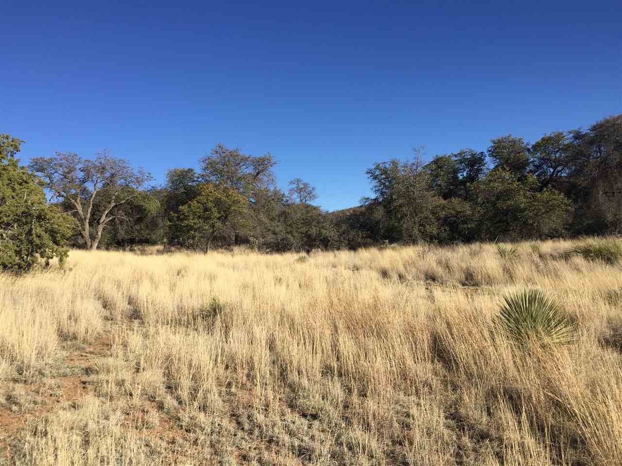 99 BURRO SPRINGS, Silver City, NM 88061