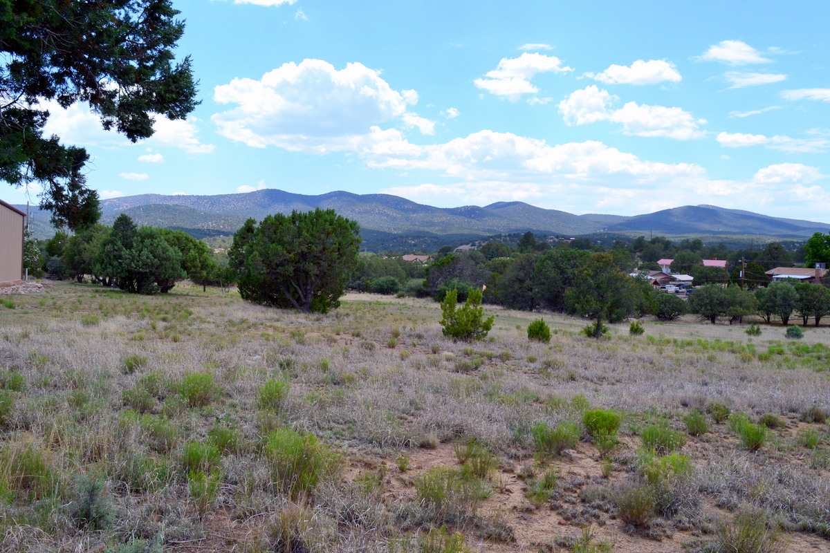 XX PEARCE RD, Silver City, NM 88061