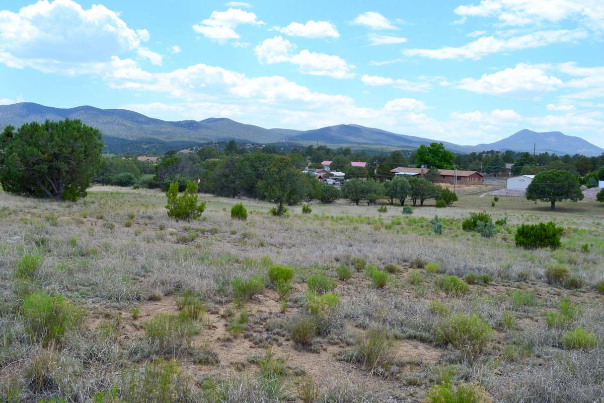 XX PEARCE RD, Silver City, NM 88061