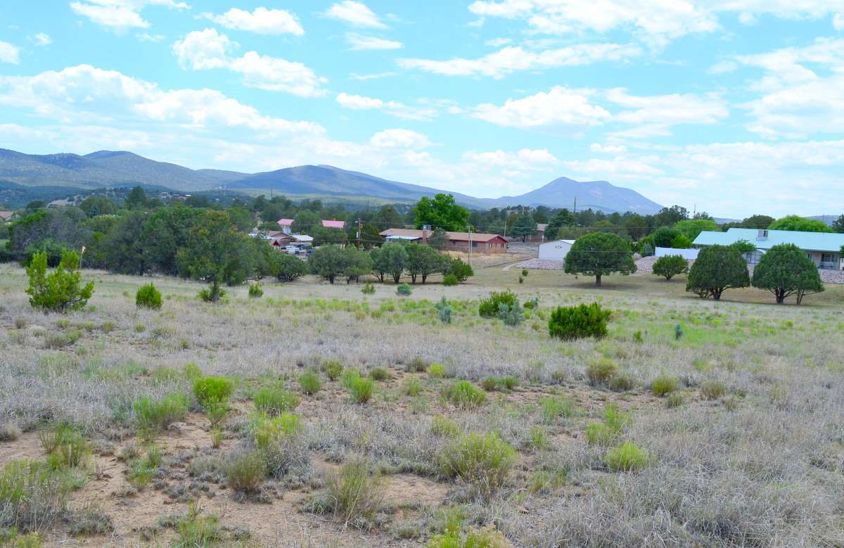 XX PEARCE RD, Silver City, NM 88061