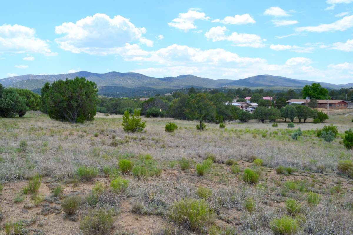 XX PEARCE RD, Silver City, NM 88061