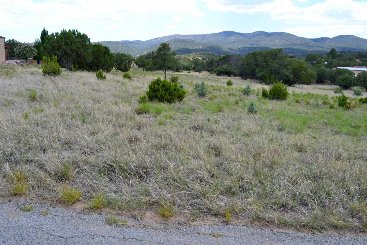XX PEARCE RD, Silver City, NM 88061