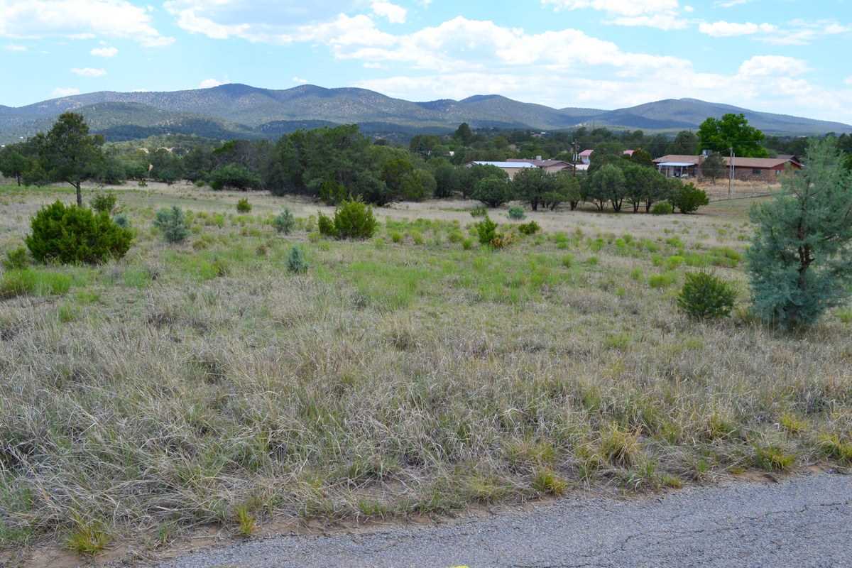 XX PEARCE RD, Silver City, NM 88061