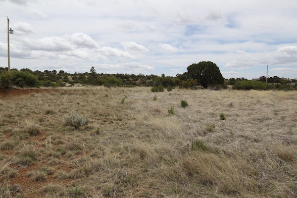 XX Pinos Altos, Silver City, NM 88061