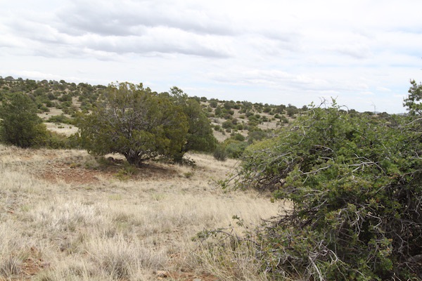 XX Pinos Altos, Silver City, NM 88061