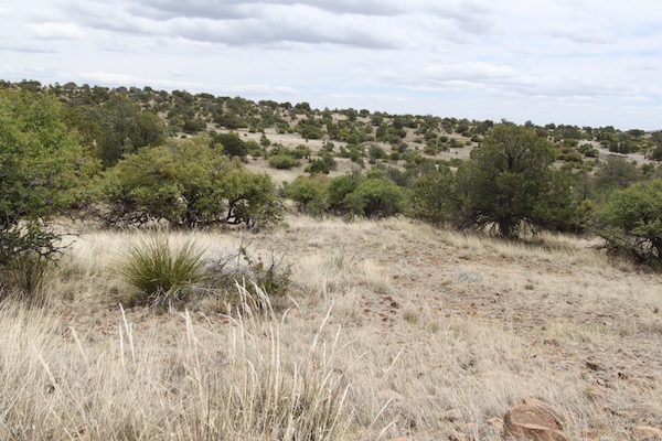 XX Pinos Altos, Silver City, NM 88061