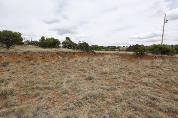 XX Pinos Altos, Silver City, NM 88061