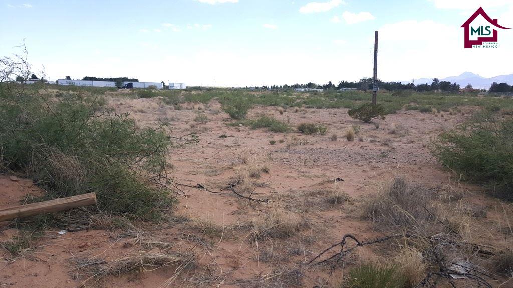 545-BOLD SEQUOIA ROAD, Chaparral, NM 88081