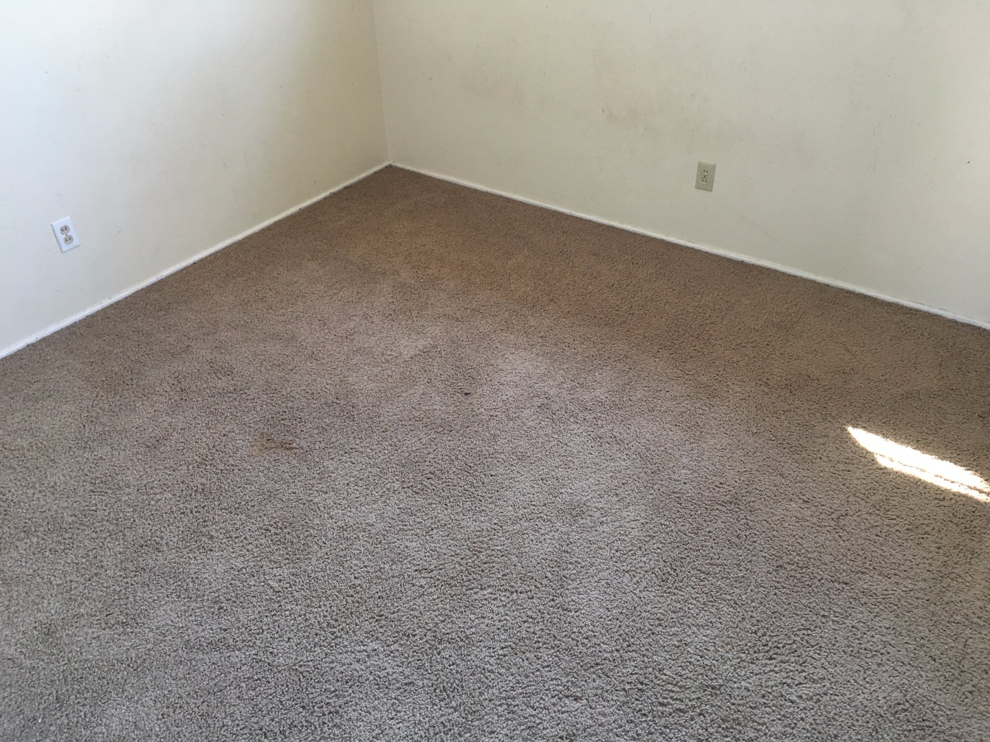 3406 Bandolina AveRoswell, NM, 88201Chaves County