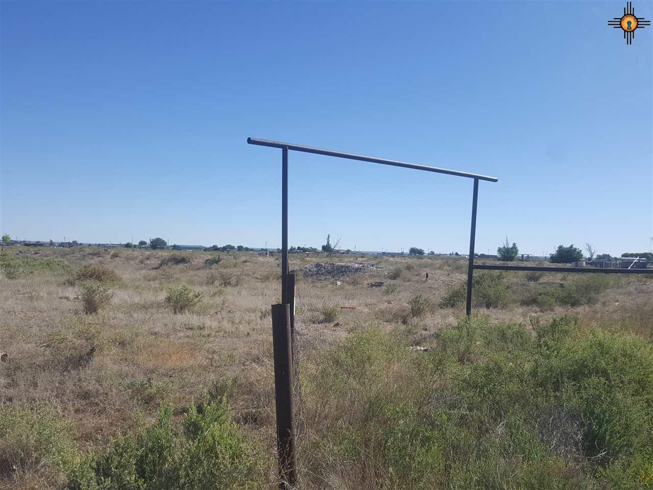 417 Petree, Hagerman, NM 88232