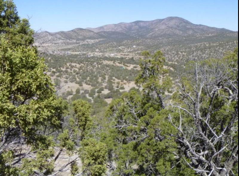 176 White Oaks Canyon Road, White Oaks, NM 88301