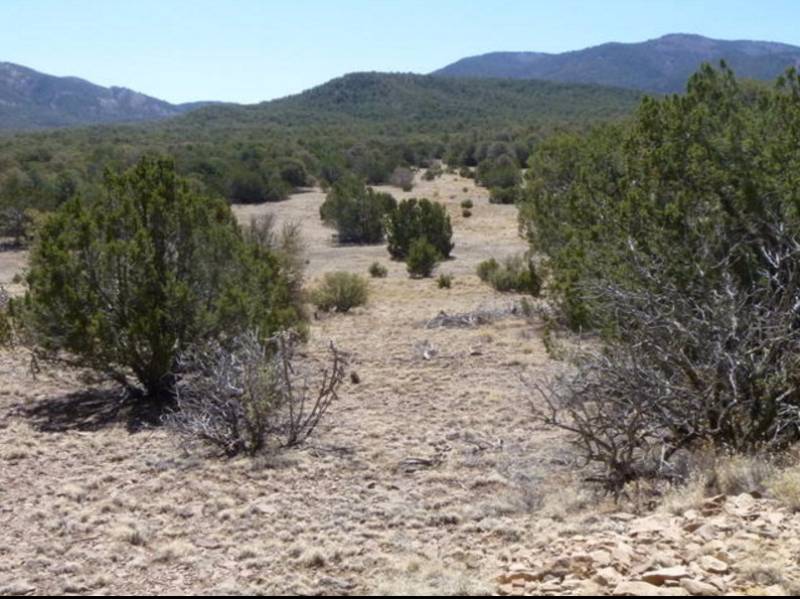 176 White Oaks Canyon Road, White Oaks, NM 88301