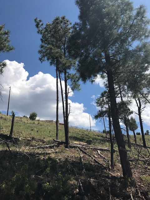 Lot 38 El Camino Drive, Alto, NM 88312