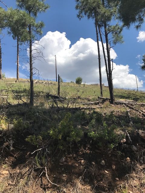Lot 38 El Camino Drive, Alto, NM 88312