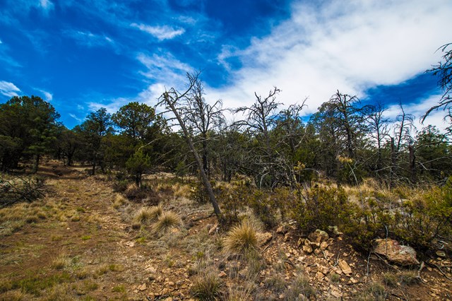 87 Sandesta Drive, Alto, NM 88312