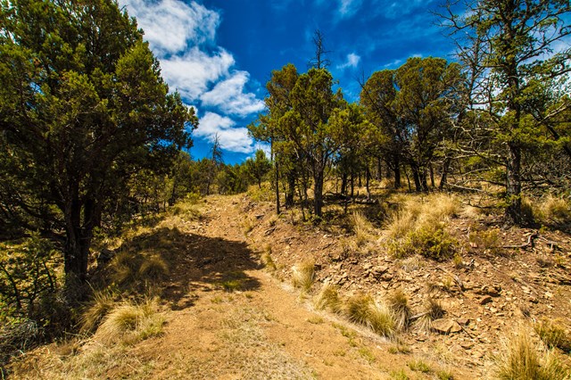 87 Sandesta Drive, Alto, NM 88312