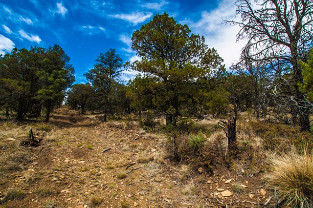 87 Sandesta Drive, Alto, NM 88312
