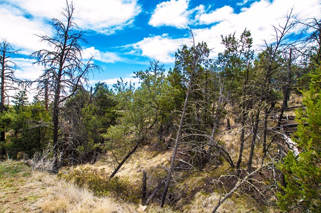 87 Sandesta Drive, Alto, NM 88312