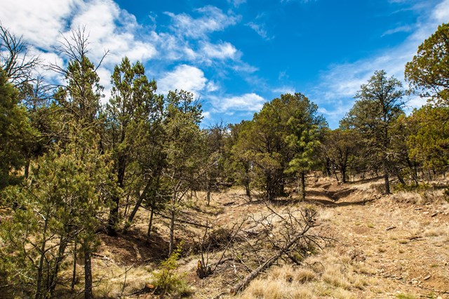 87 Sandesta Drive, Alto, NM 88312