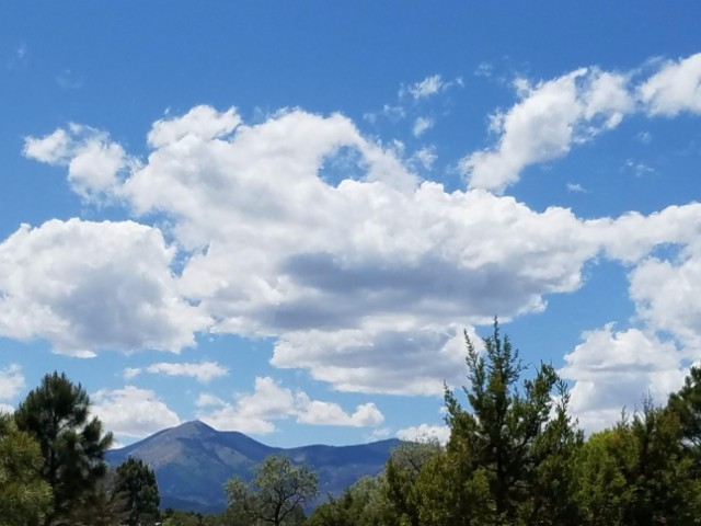 101 Blazing Star Trail, Alto, NM 88312