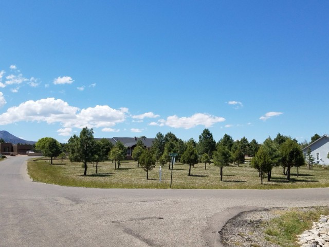 101 Blazing Star Trail, Alto, NM 88312