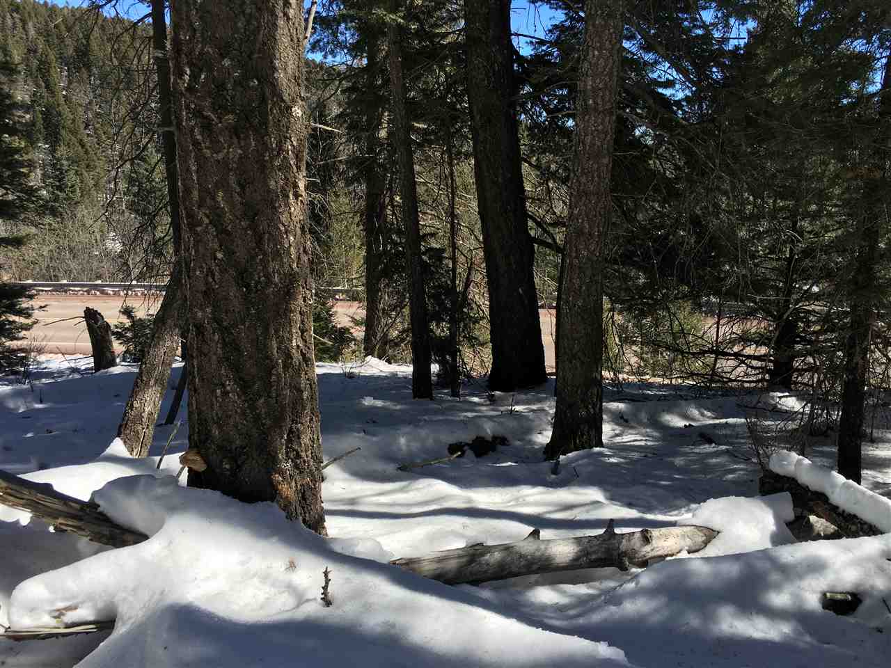 Sunspot Hwy, Cloudcroft, NM 88317