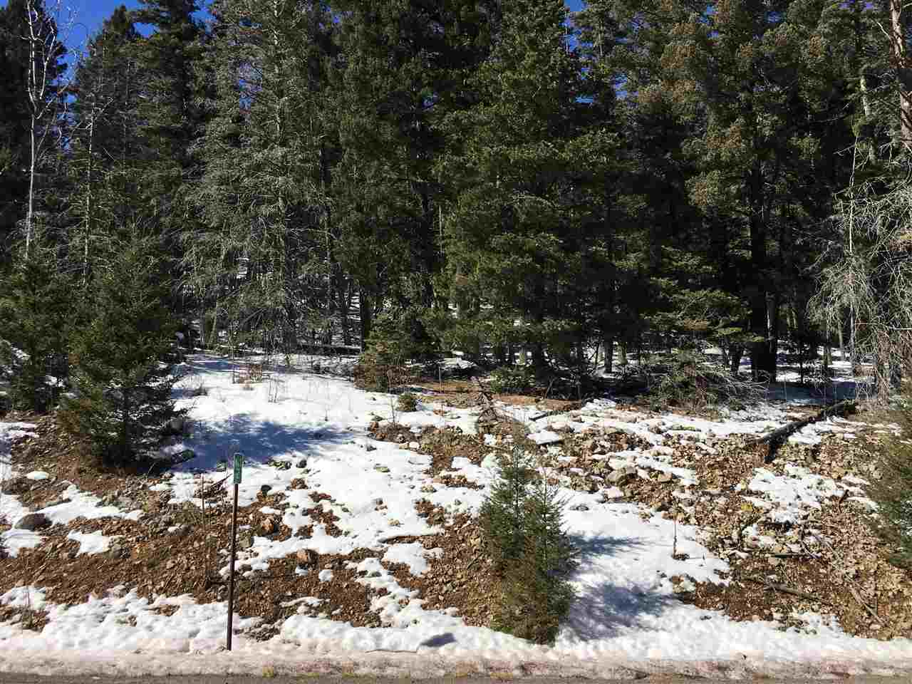 Sunspot Hwy, Cloudcroft, NM 88317