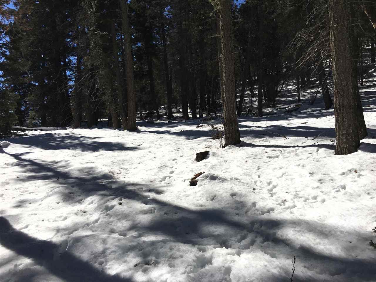 Sunspot Hwy, Cloudcroft, NM 88317