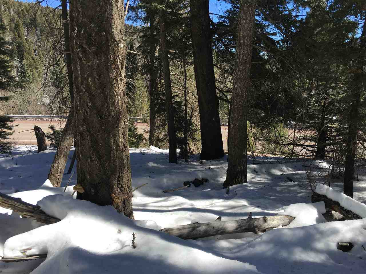 Sunspot Hwy, Cloudcroft, NM 88317