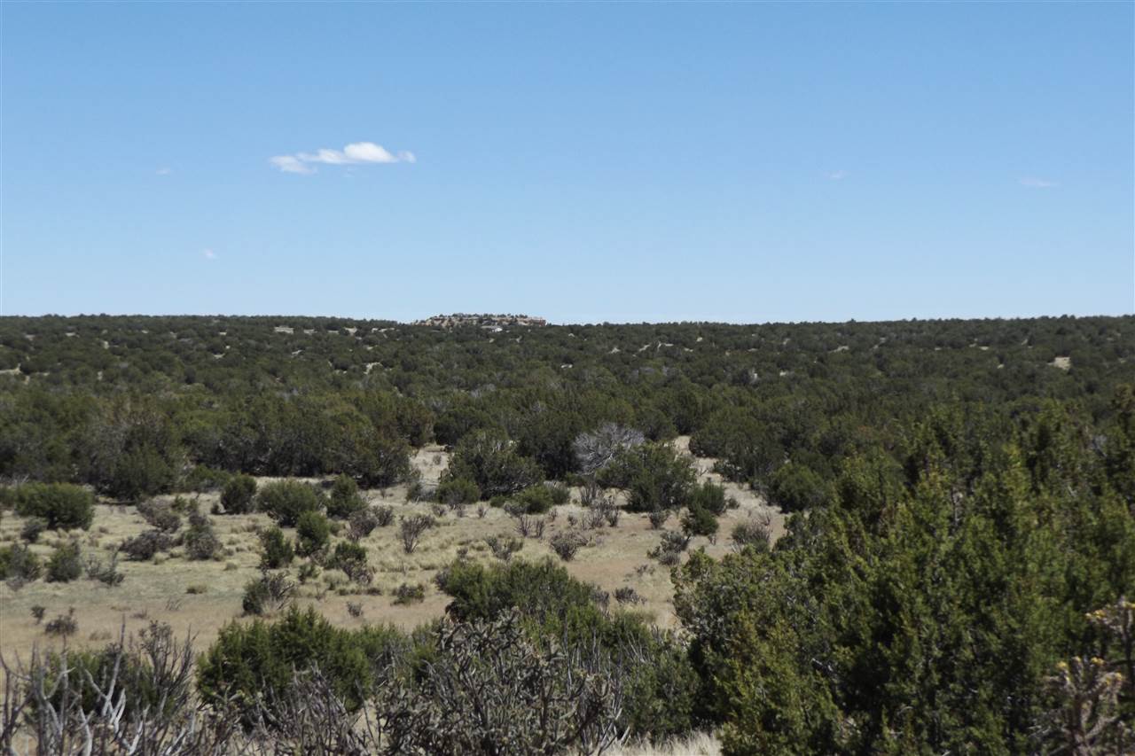 Tract CM-8 Milagro Road, Santa Rosa, NM 88321
