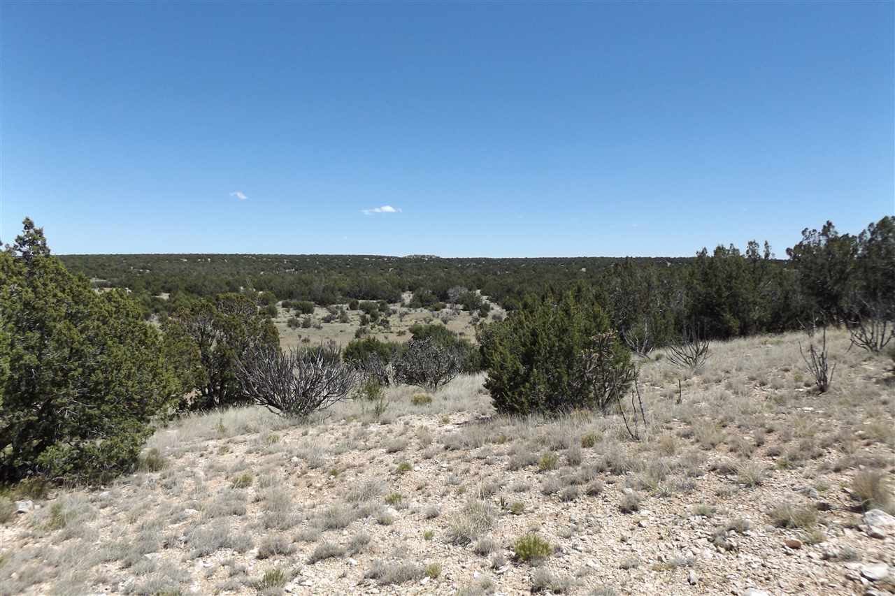 Tract CM-8 Milagro Road, Santa Rosa, NM 88321