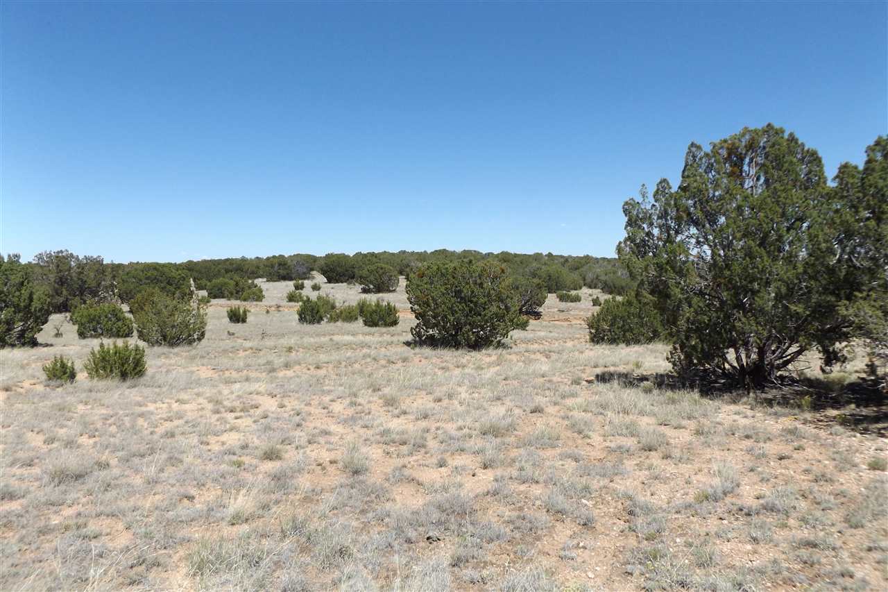 Tract CM-8 Milagro Road, Santa Rosa, NM 88321