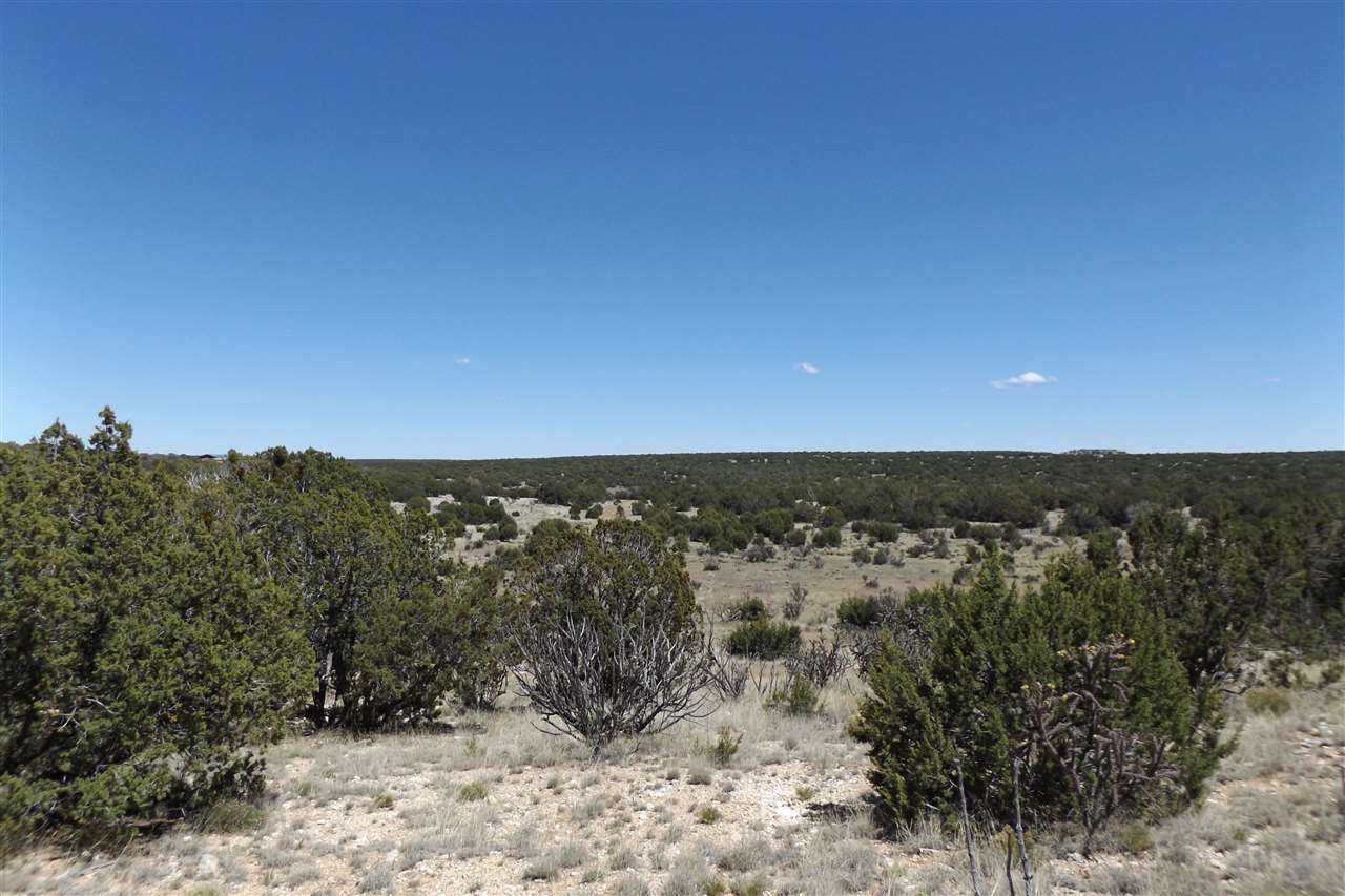 Tract CM-8 Milagro Road, Santa Rosa, NM 88321