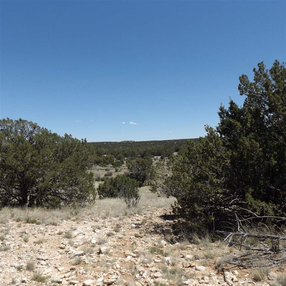 Tract CM-8 Milagro Road, Santa Rosa, NM 88321