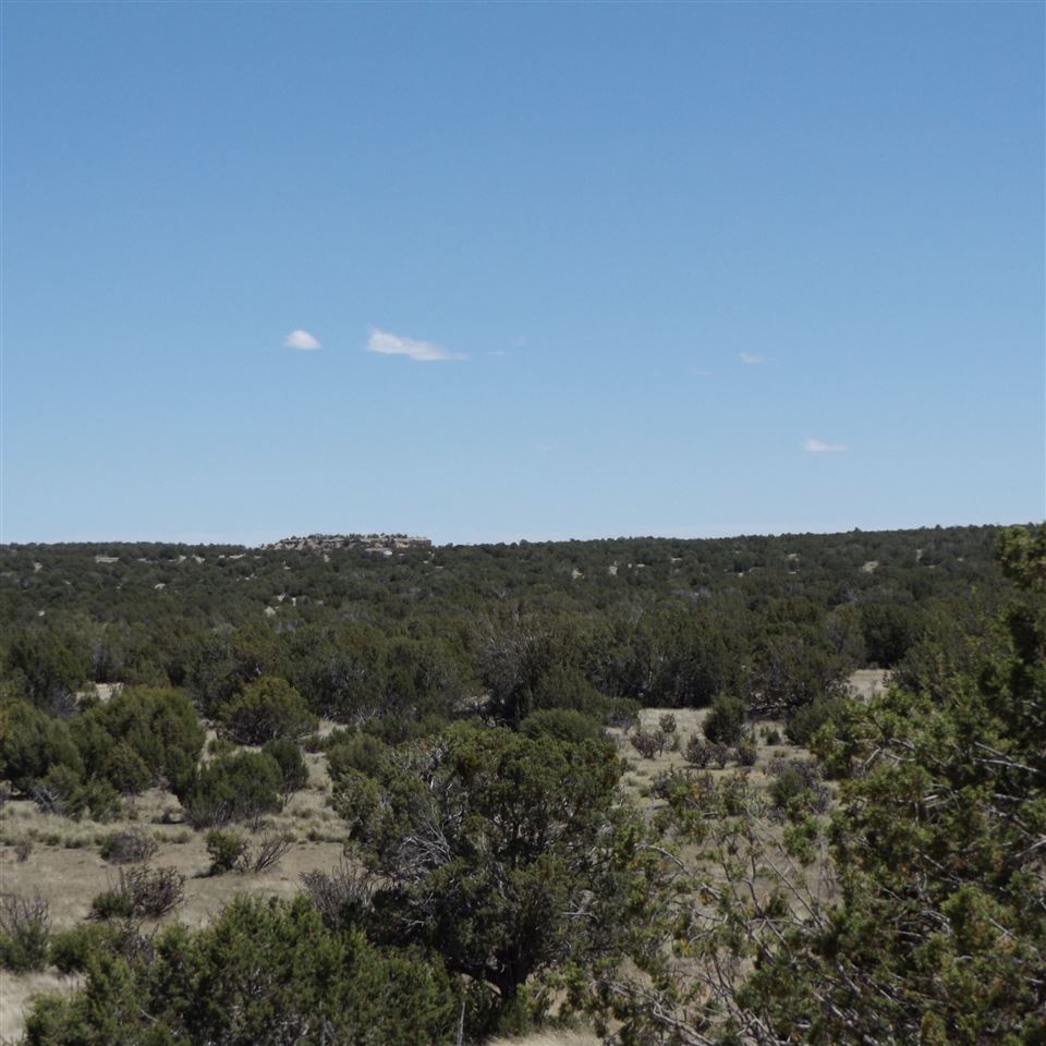 Tract CM-8 Milagro Road, Santa Rosa, NM 88321