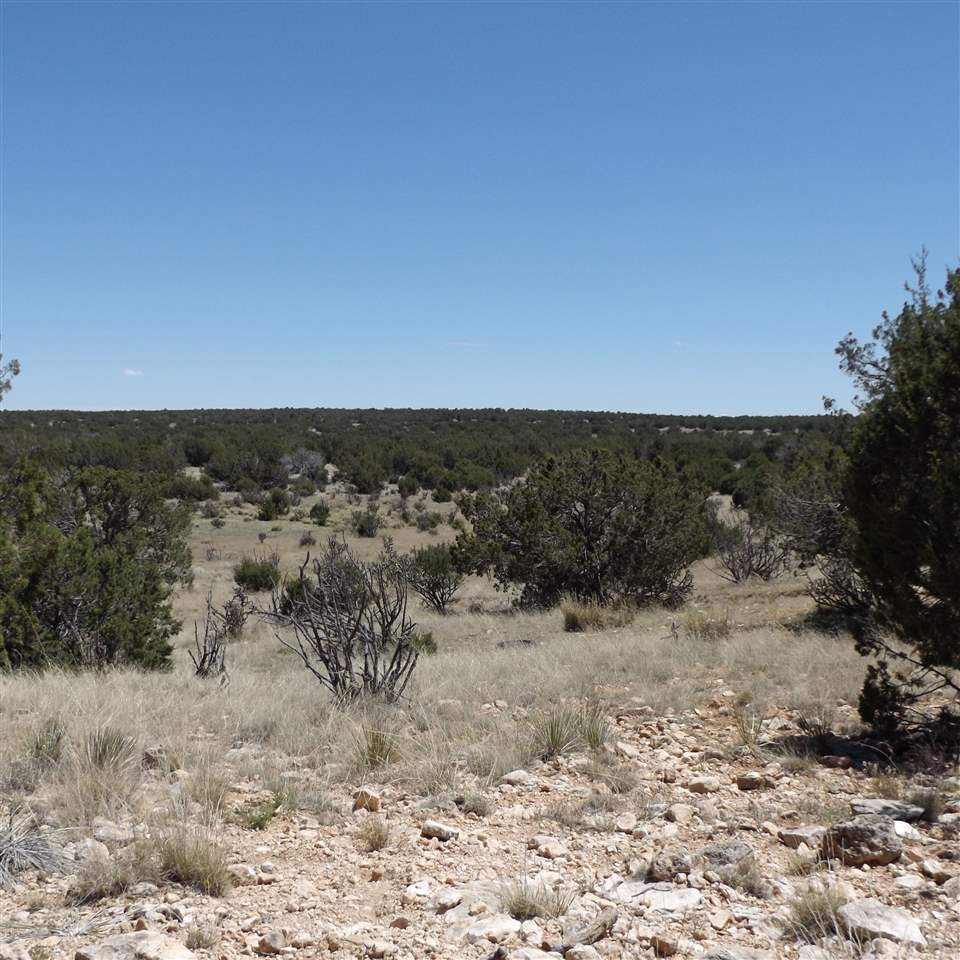 Tract CM-8 Milagro Road, Santa Rosa, NM 88321