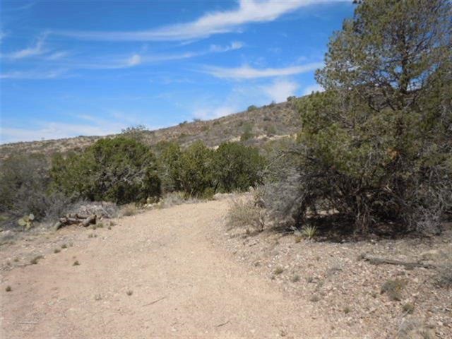 149 La Luz Canyon, La Luz, NM 88337