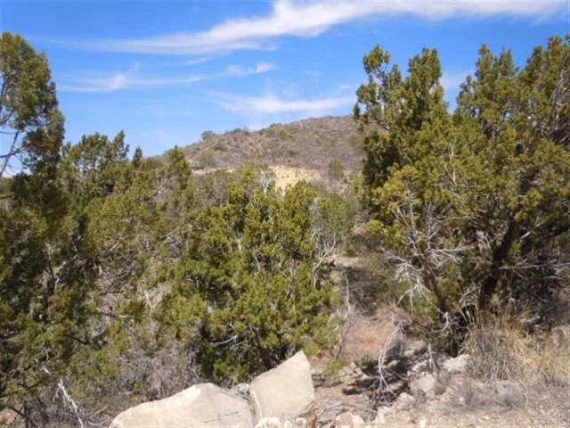 149 La Luz Canyon, La Luz, NM 88337