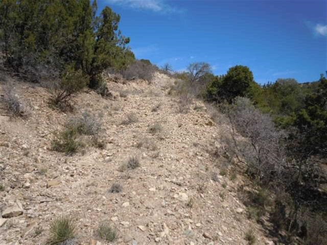 149 La Luz Canyon, La Luz, NM 88337