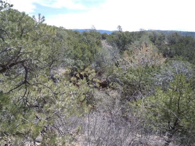 149 La Luz Canyon, La Luz, NM 88337