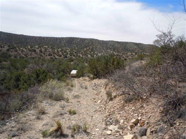 149 La Luz Canyon, La Luz, NM 88337