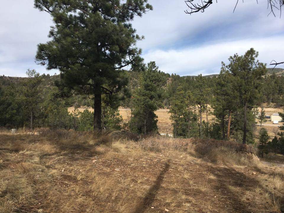 10 & 12 Valley View AV, Mayhill, NM 88339